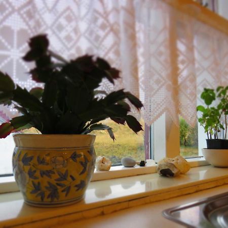 Guesthouse Kálfafellsstadur Kalfafellsstathur Esterno foto