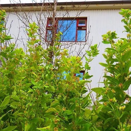 Guesthouse Kálfafellsstadur Kalfafellsstathur Esterno foto
