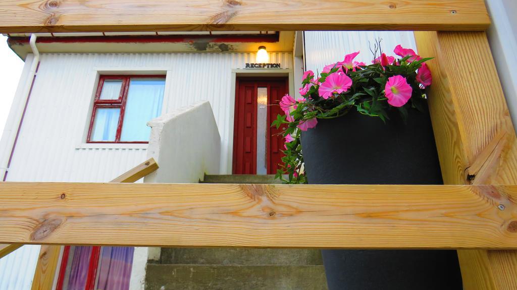 Guesthouse Kálfafellsstadur Kalfafellsstathur Esterno foto