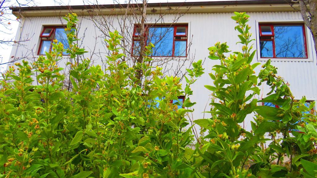 Guesthouse Kálfafellsstadur Kalfafellsstathur Esterno foto